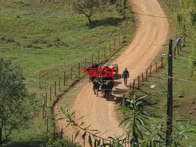 Sítio e chácara venda em Região Geográfica Imediata de São Lourenço, Soledade de Minas