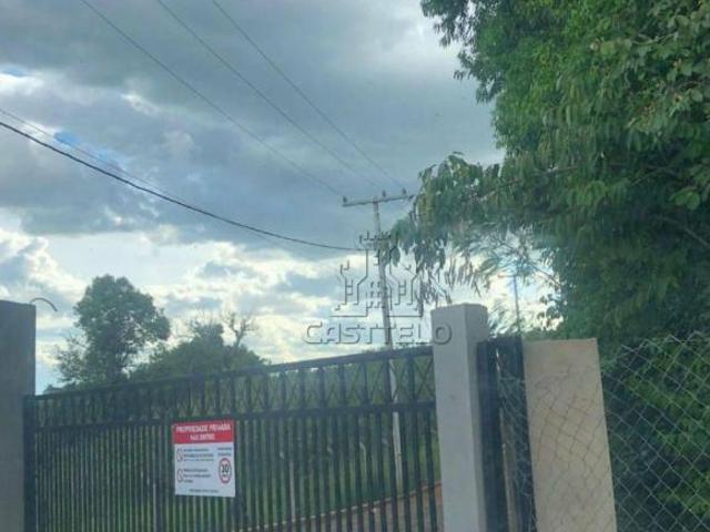 Sítio e chácara venda em Região Geográfica Imediata de Londrina, Cambé