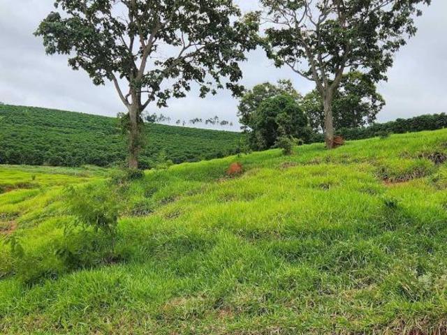 Sítio e chácara venda em Região Geográfica Imediata de Gurupi, Formoso do Araguaia