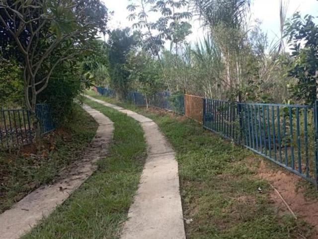 Sítio e chácara venda em Região Geográfica Imediata de Oliveira, Região Metropolitana de Belo Horizonte