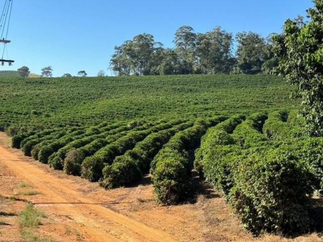 Sítio e chácara venda em Região Imediata de São José do Rio Pardo-Mococa, Caconde
