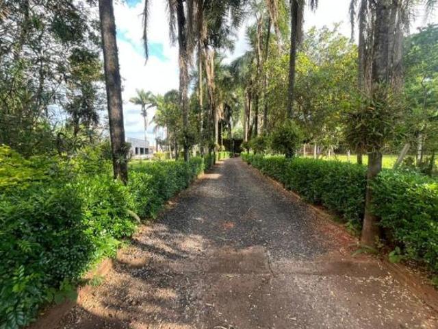 Sítio e chácara venda em Região Imediata de São José do Rio Preto, Região Metropolitana de São José do Rio Preto