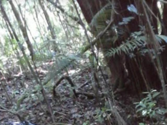 Sítio e chácara venda em Região Imediata de Botucatu, Bofete