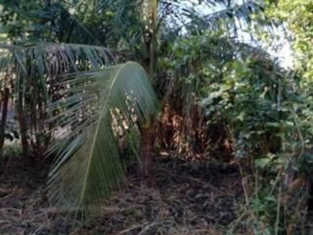 Sítio e chácara venda em Região Geográfica Imediata de Ipatinga, Antônio Dias