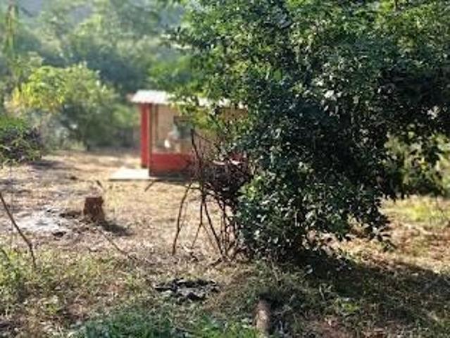 Sítio e chácara venda em Região Geográfica Imediata de Ipatinga, Antônio Dias