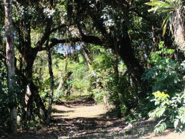 Sítio e chácara venda em Região Geográfica Imediata de Novo Hamburgo - São Leopoldo, Região Metropolitana de Porto Alegre