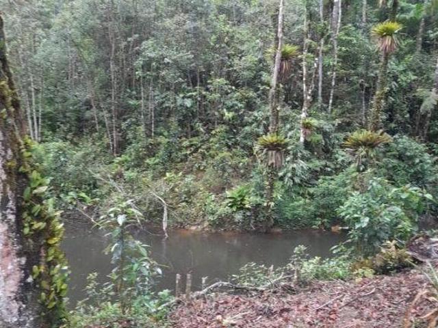 Sítio e chácara venda em Região Imediata de São Paulo, Região Metropolitana de São Paulo