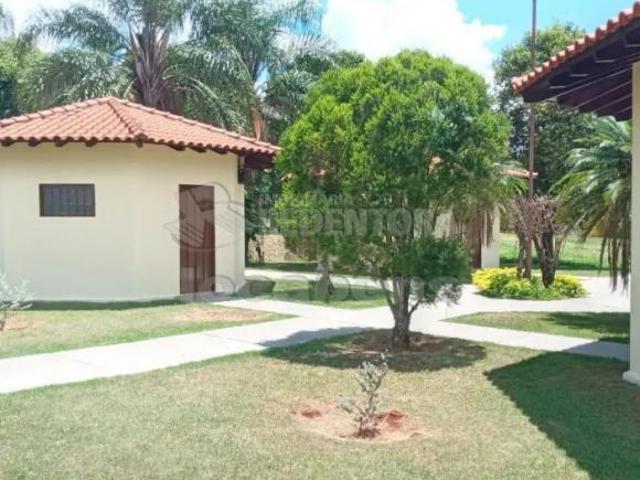 Sítio e chácara venda em Região Imediata de Fernandópolis, Mira Estrela
