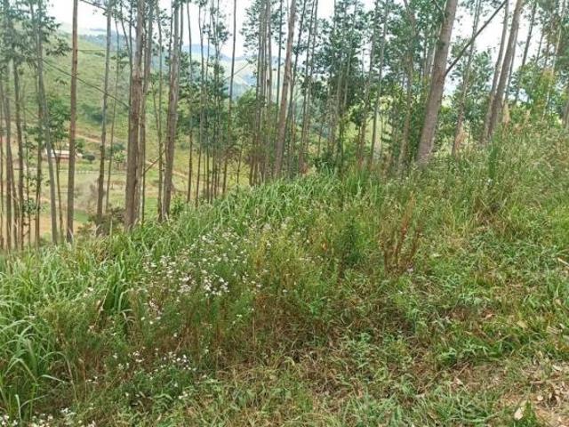 Sítio e chácara venda em Região Imediata de São Paulo, Região Metropolitana de São Paulo