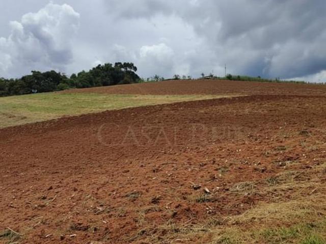 Sítio e chácara venda em Região Geográfica Imediata de Belo Horizonte, Região Metropolitana de Belo Horizonte