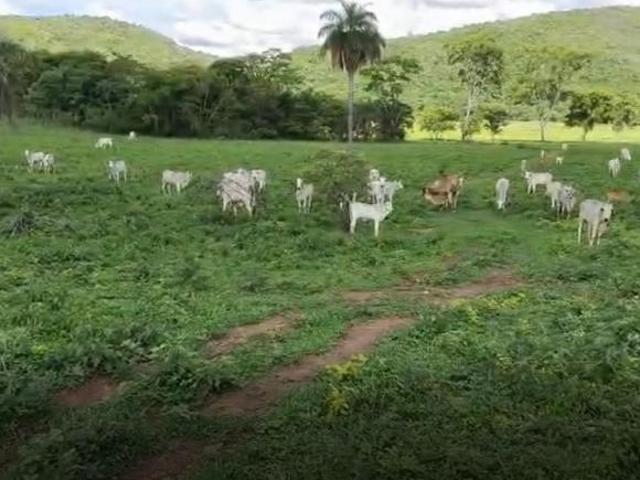 Sítio e chácara venda em Região Geográfica Imediata de Divinópolis, Pitangui