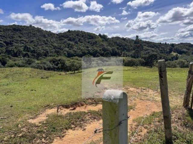 Sítio e chácara venda em Região Geográfica Imediata de Curitiba, Região Metropolitana de Curitiba