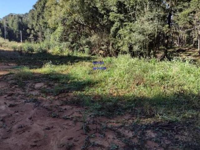Sítio e chácara venda em Região Geográfica Imediata de Curitiba, Região Metropolitana de Curitiba