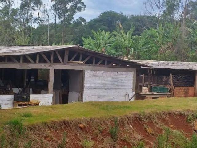Sítio e chácara venda em Região Geográfica Imediata de Foz do Iguaçu, Santa Terezinha de Itaipu