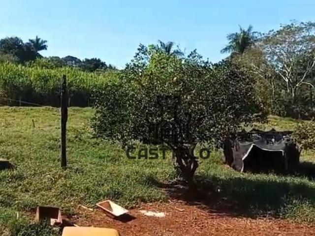 Sítio e chácara venda em Região Geográfica Imediata de Londrina, Londrina