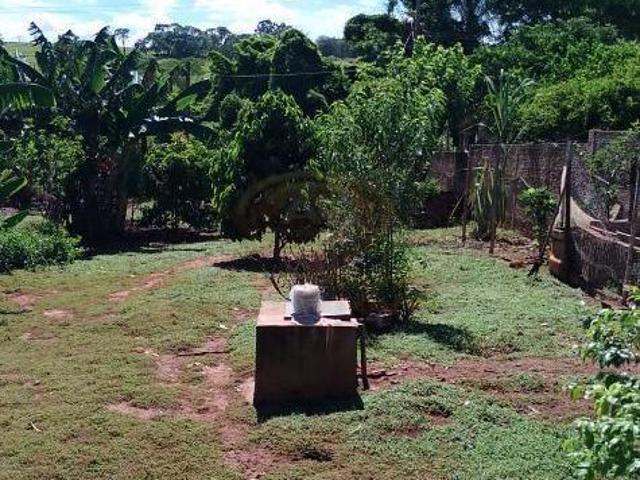 Sítio e chácara venda em Região Imediata de São José do Rio Preto, Região Metropolitana de São José do Rio Preto