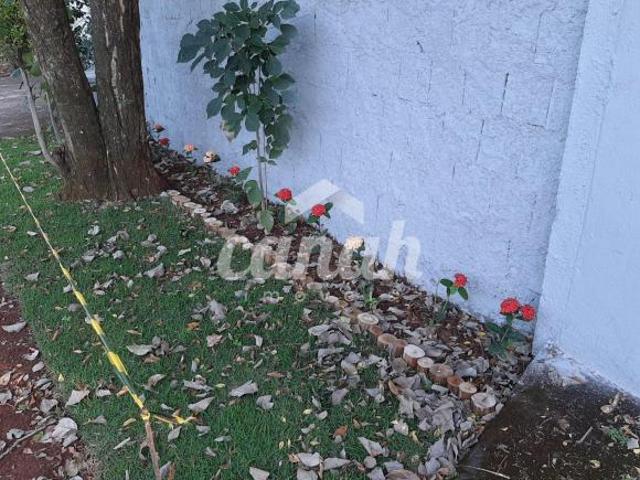 Sítio e chácara venda em Região Imediata de Ribeirão Preto, Região Metropolitana de Ribeirão Preto