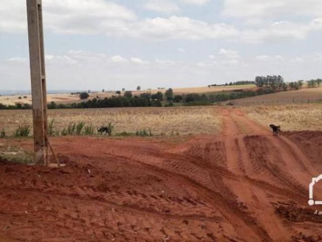 Sítio e chácara venda em Região Geográfica Imediata de Maringá, Astorga