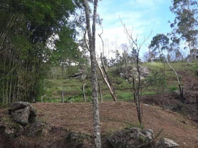 Sítio e chácara venda em Região Imediata de São Paulo, Região Metropolitana de São Paulo