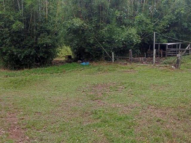 Sítio e chácara venda em Região Geográfica Imediata de Santa Cruz do Sul, Vale do Sol