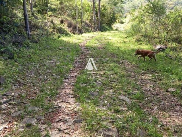Sítio e chácara venda em Região Geográfica Imediata de Passo Fundo, Passo Fundo