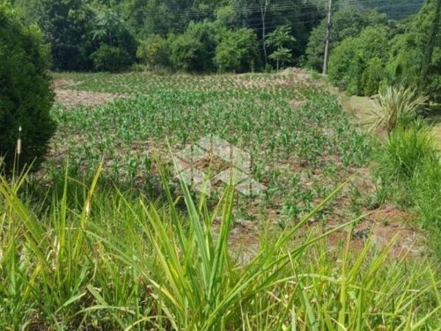 Sítio e chácara venda em Região Geográfica Imediata de Caxias do Sul, Nova Petrópolis