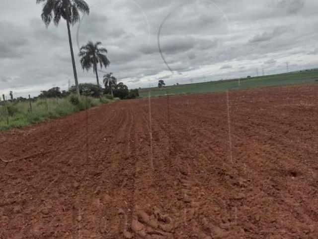 Sítio e chácara venda em Região Imediata de Limeira, Região Metropolitana de Piracicaba