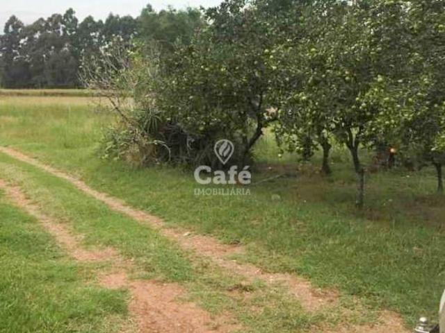 Sítio e chácara venda em Região Geográfica Imediata de Santa Maria, Silveira Martins
