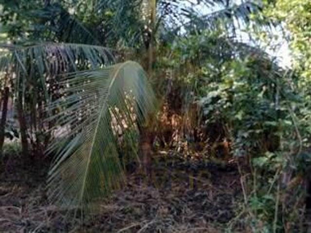 Sítio e chácara venda em Pedra Bonita, Região Sudeste