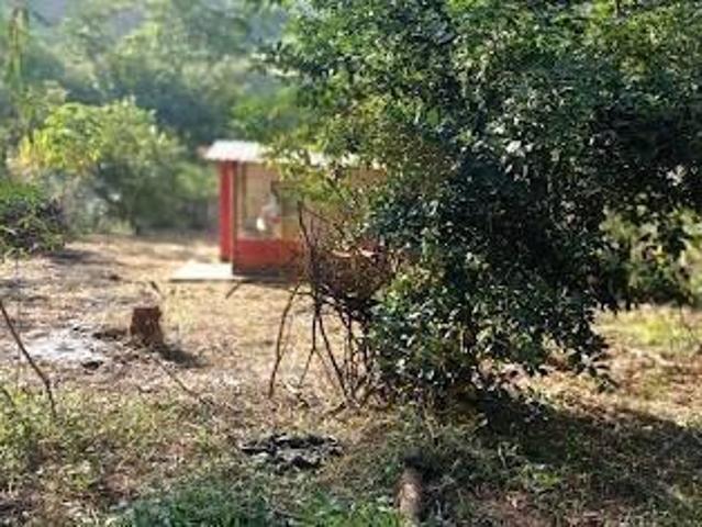 Sítio e chácara venda em Pedra Bonita, Região Sudeste