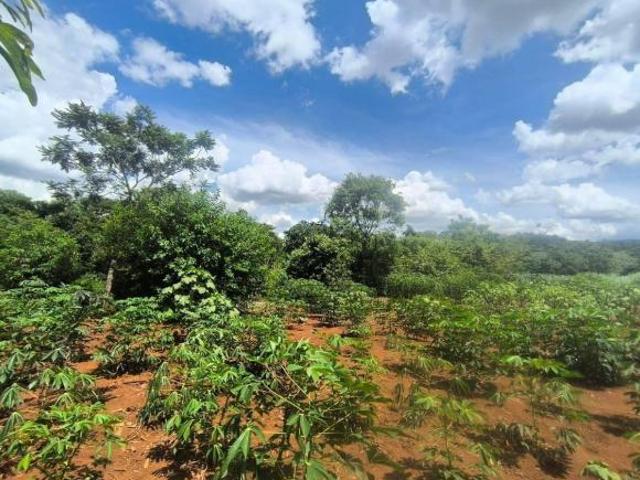 Sítio e chácara venda em Região Geográfica Imediata de Londrina, Londrina
