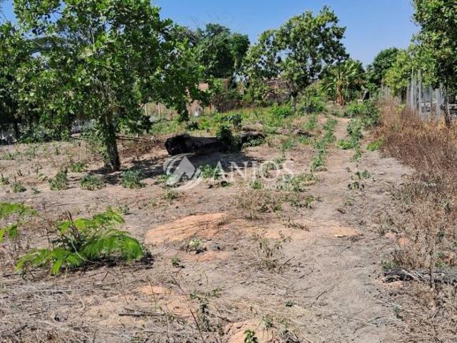 Sítio e chácara venda em Região Geográfica Imediata de Sinop, Sinop