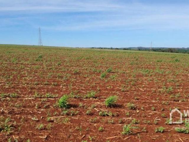 Sítio e chácara venda em Região Geográfica Imediata de Maringá, Astorga