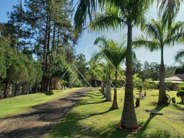 Sítio e chácara venda em Região Geográfica Imediata de Londrina, Rolândia