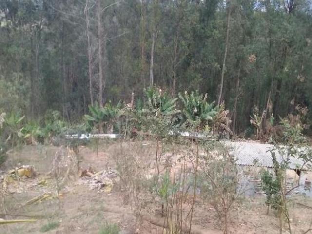 Sítio e chácara venda em Região Imediata de Jundiaí, Jundiaí
