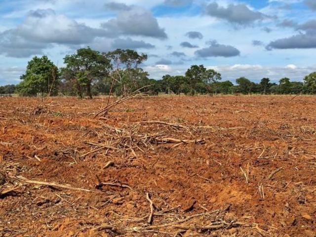Sítio e chácara venda em Região Geográfica Imediata de Unaí, Arinos