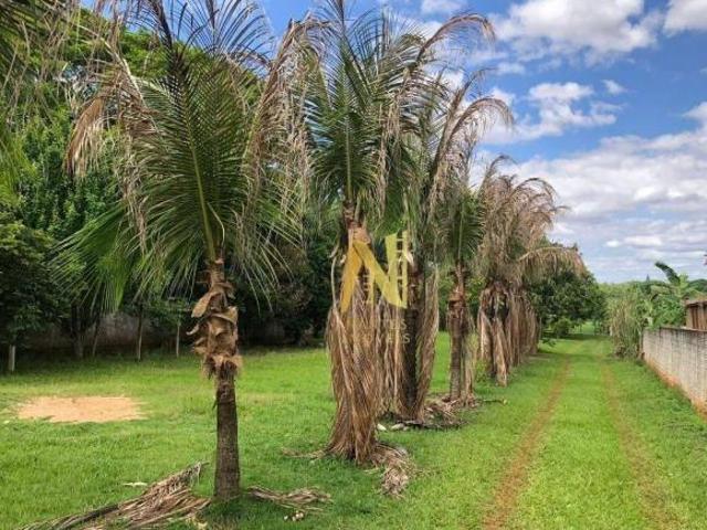 Sítio e chácara venda em Região Geográfica Imediata de Londrina, Sertanópolis