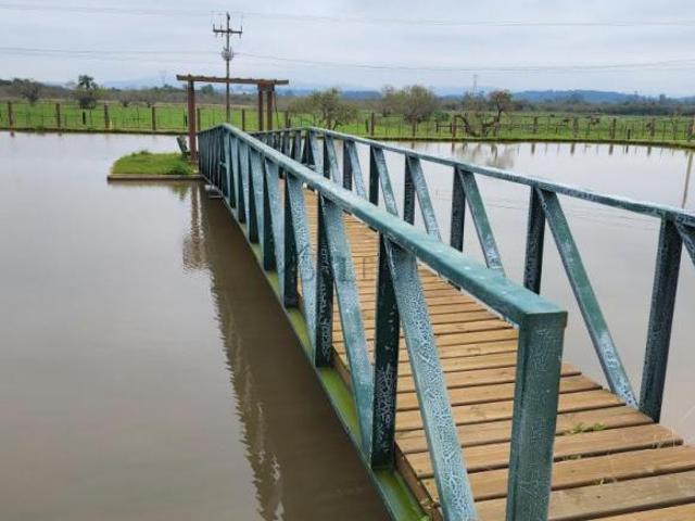 Sítio e chácara venda em Região Geográfica Imediata de Novo Hamburgo - São Leopoldo, Região Metropolitana de Porto Alegre
