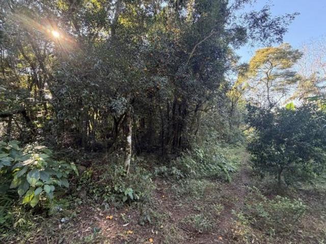 Sítio e chácara venda em Região Geográfica Imediata de Novo Hamburgo - São Leopoldo, Região Metropolitana de Porto Alegre