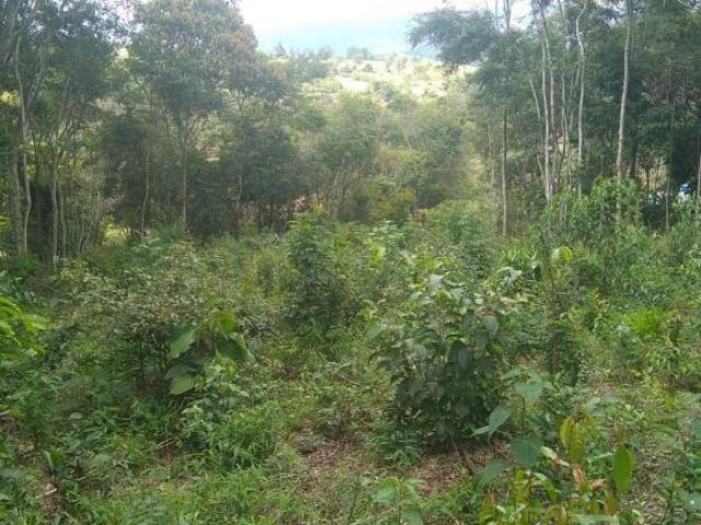 Sítio e chácara venda em Região Geográfica Imediata de Gurupi, Formoso do Araguaia