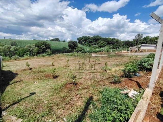Sítio e chácara venda em Região Geográfica Imediata de Londrina, Londrina