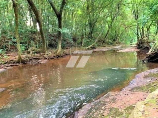 Sítio e chácara venda em Região Geográfica Imediata de Cascavel, Lindoeste