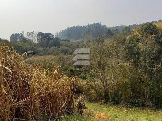 Sítio e chácara venda em Região Geográfica Imediata de Curitiba, Região Metropolitana de Curitiba