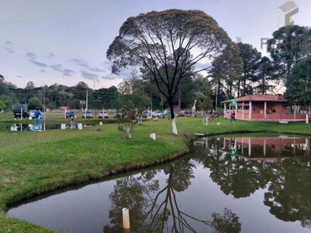 Sítio e chácara venda em Região Geográfica Imediata de Curitiba, Região Metropolitana de Curitiba