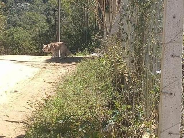Sítio e chácara venda em Região Imediata de Caraguatatuba-Ubatuba-São Sebastião, Região Metropolitana do Vale do Paraíba e Litoral Norte