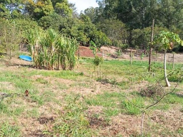 Sítio e chácara venda em Região Geográfica Imediata de Londrina, Londrina