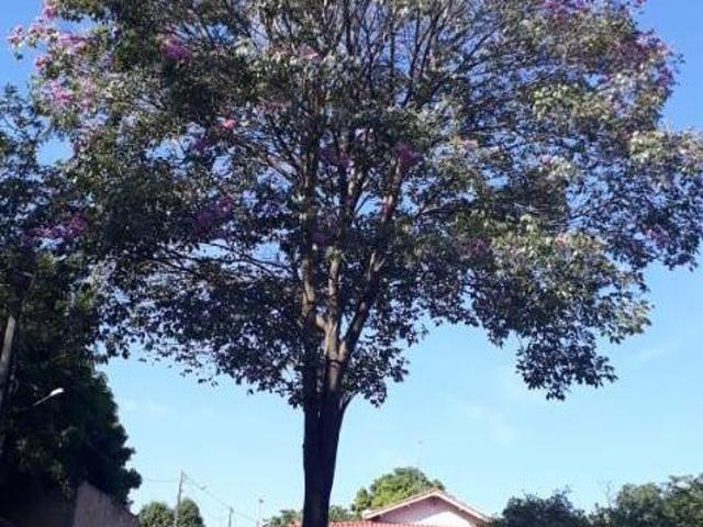 Sítio e chácara venda em Região Imediata de Lins, Promissão