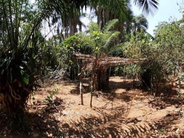 Sítio e chácara venda em Região Geográfica Imediata de Goiânia, Aparecida de Goiânia
