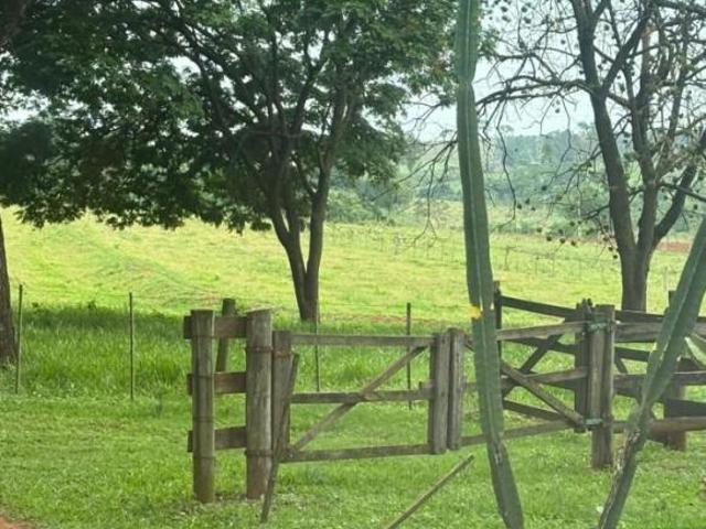 Sítio e chácara venda em Região Imediata de Presidente Prudente, Martinópolis