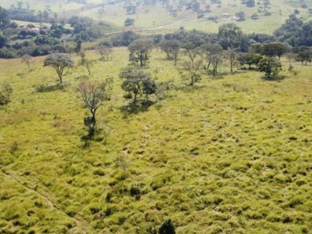 Sítio e chácara venda em Região Geográfica Imediata de Divinópolis, Itaúna